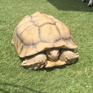 Meet your Posher, Janelly